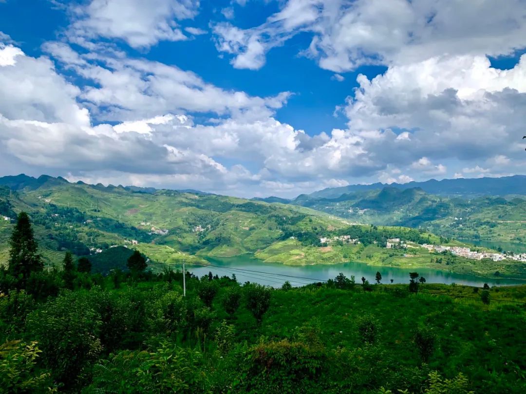 山坳里的纳雍:一门心思往好里奔