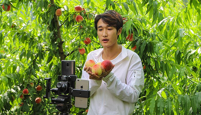 简阳市:多举措促农增收,让更多农民挑上"金扁担"