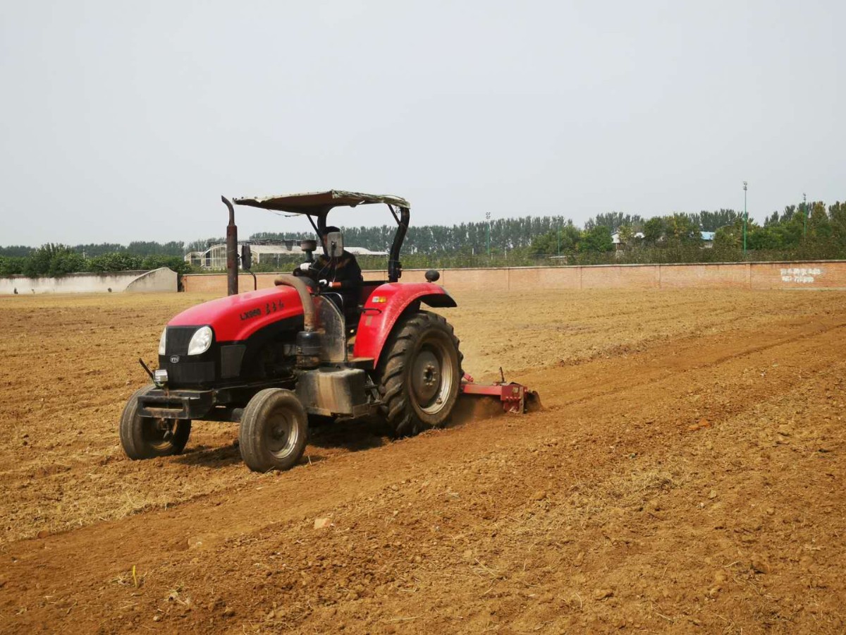撂荒的百亩耕地要播种冬小麦啦