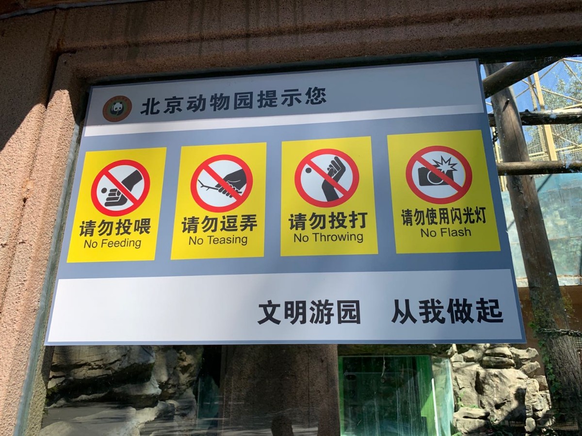 爹指导,妈拍照!动物园里孩子违规投喂,多是家长在纵容