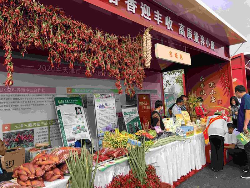 畜禽养殖行业的最新发展趋势