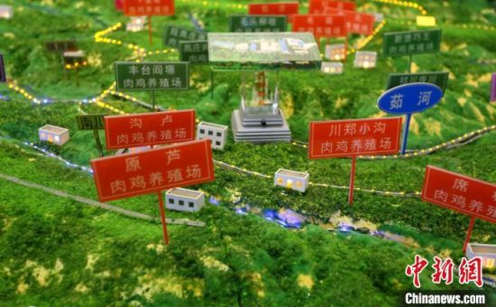 图为镇原县肉鸡养殖分布沙盘. 高展 摄