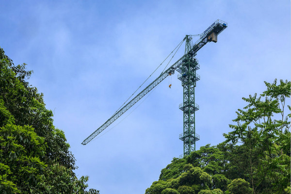 图说：塔吊用于科研人员研究难以抵达的林冠生态 钱江源国家公园供图