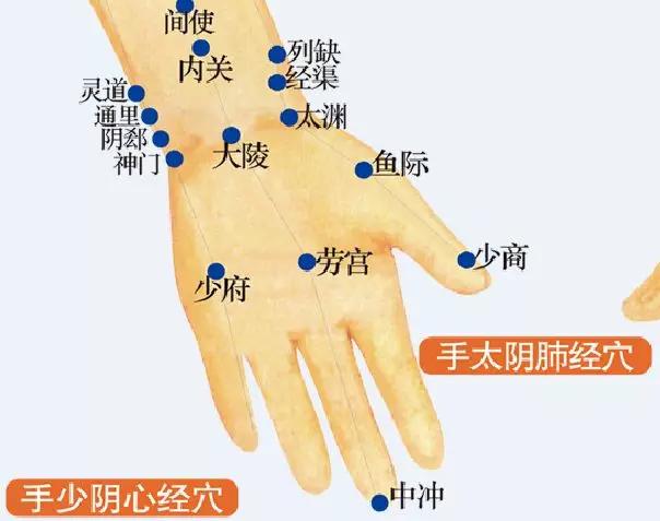 内关穴天枢穴属于足阳明胃经,是手阳明大肠经募穴,也是阳明脉气所发