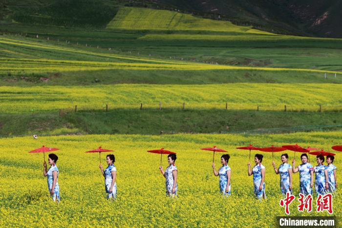     图为游客在甘肃张掖市民乐县扁都口油菜花海观光游览。（资料图）　张渊　摄