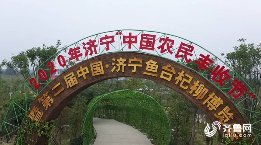 据悉,"中国杞柳之乡"鱼台将产业发展与杞柳文化相结合,大力实施乡村