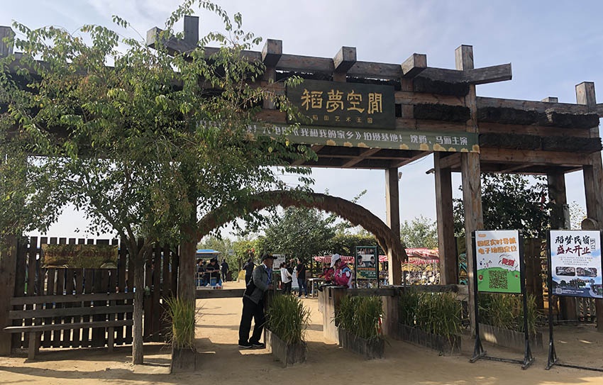 沈阳沈北"稻梦空间":在稻田里种下的多彩美景