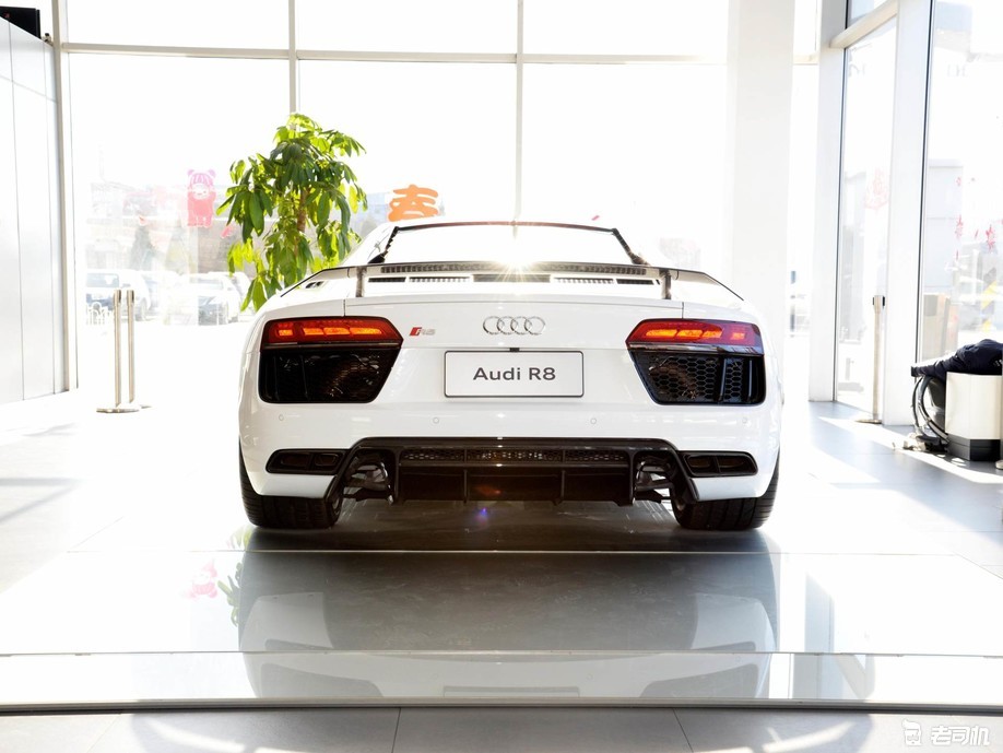 猛兽里也有性格优雅的存在 小哥带你看奥迪r8