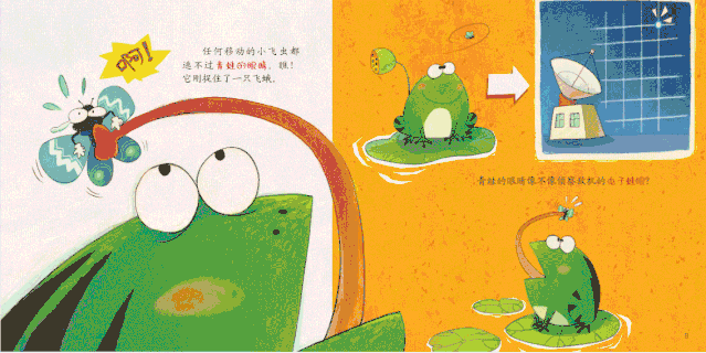 有各类生活小科普:《嗨,我是土豆》《好玩的影子》《烦人的蚊子》《千