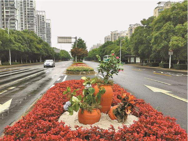 路口花境迷人