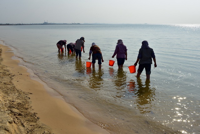 渤海生态攻坚下的山东水产业：莱州、龙口何以殊途同归