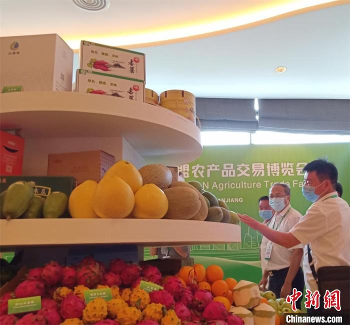 第五届广东·东盟农博会在广东湛江举办