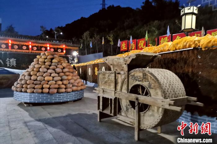 下营子村花海小镇展示的丰收场景 张桂芹 摄