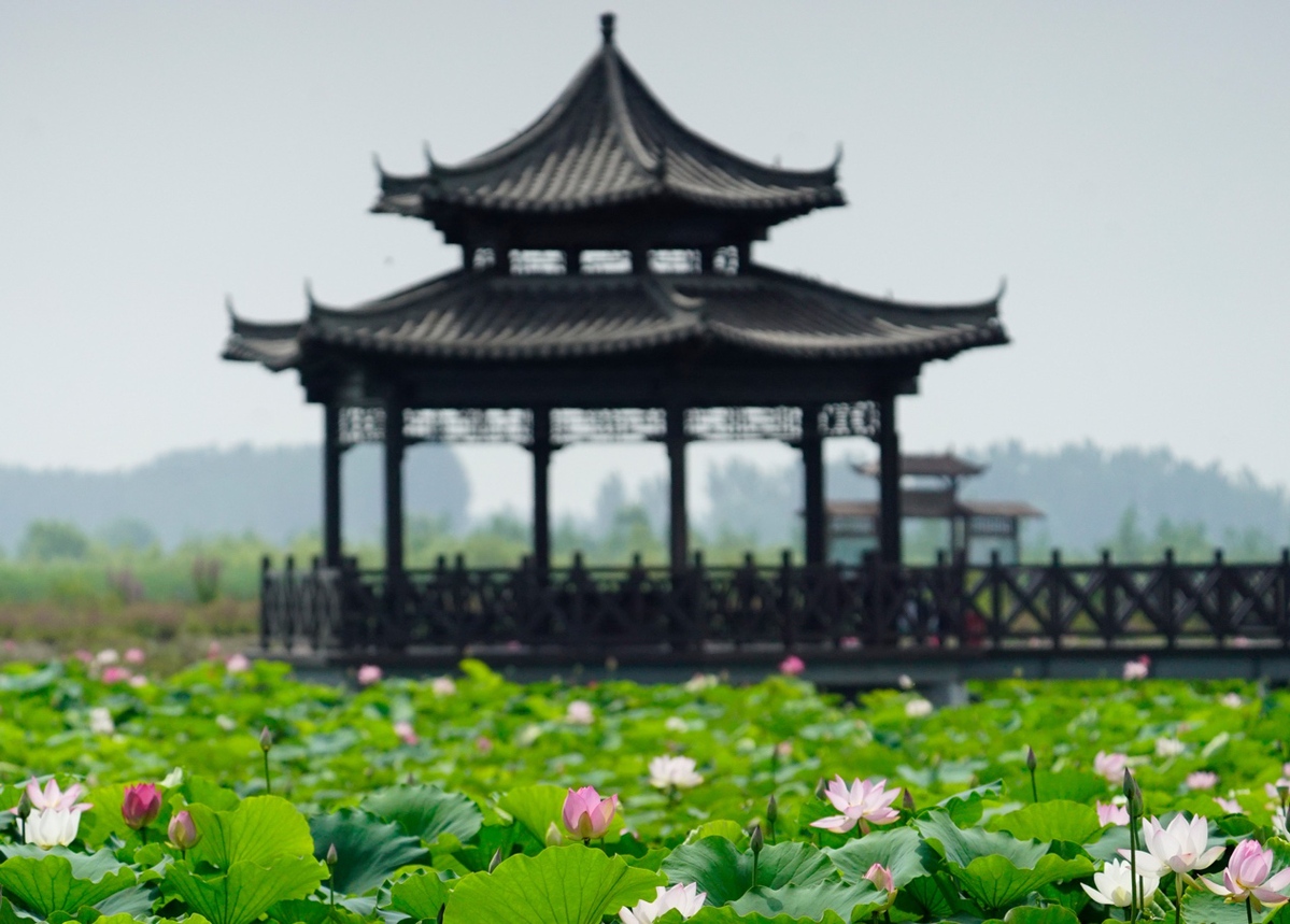 辽河生态景观建设：诗情画意绕阳湖水利风景区在苇海碧波中荡漾