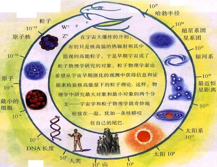 咬尾蛇洞察量子世界的光学涡旋