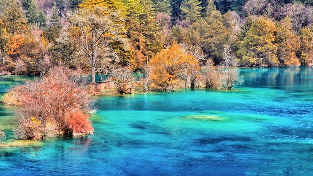 九寨沟火花海将于国庆前夕开放此前遭地震破坏致景观消失