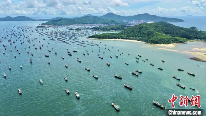 资料图：南海开渔节阳江举行，约1300艘渔船出海。 阳江市海陵岛 供图