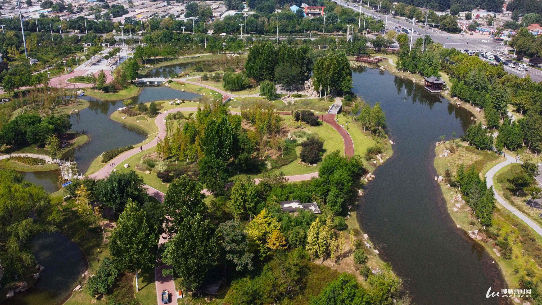 凤凰苑植物园:秋色烂漫迷人眼