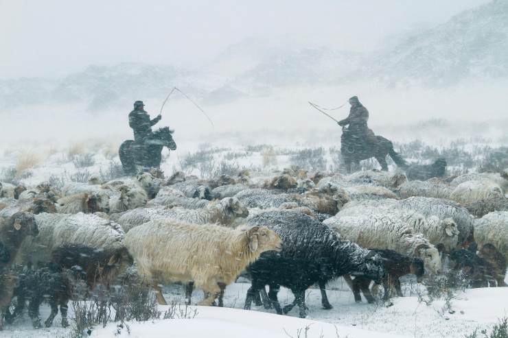 新疆阿泰勒冬牧场