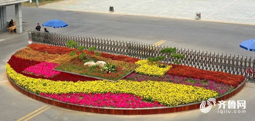 喜迎双节!50万盆鲜花扮靓邹城