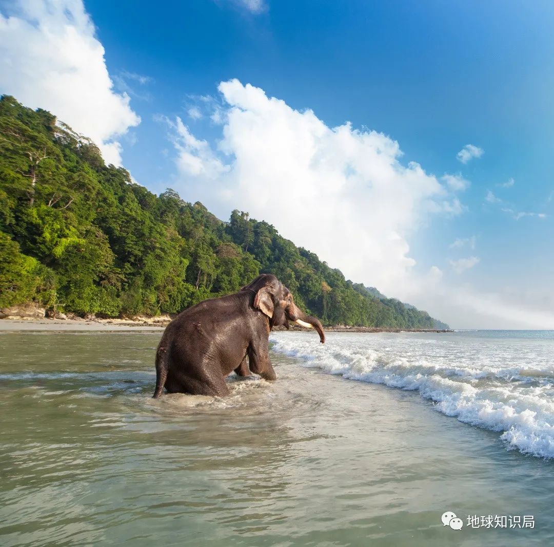 印度,一個重要的地方,卻很少有人關注|安達曼群島|印度|安達曼_新浪