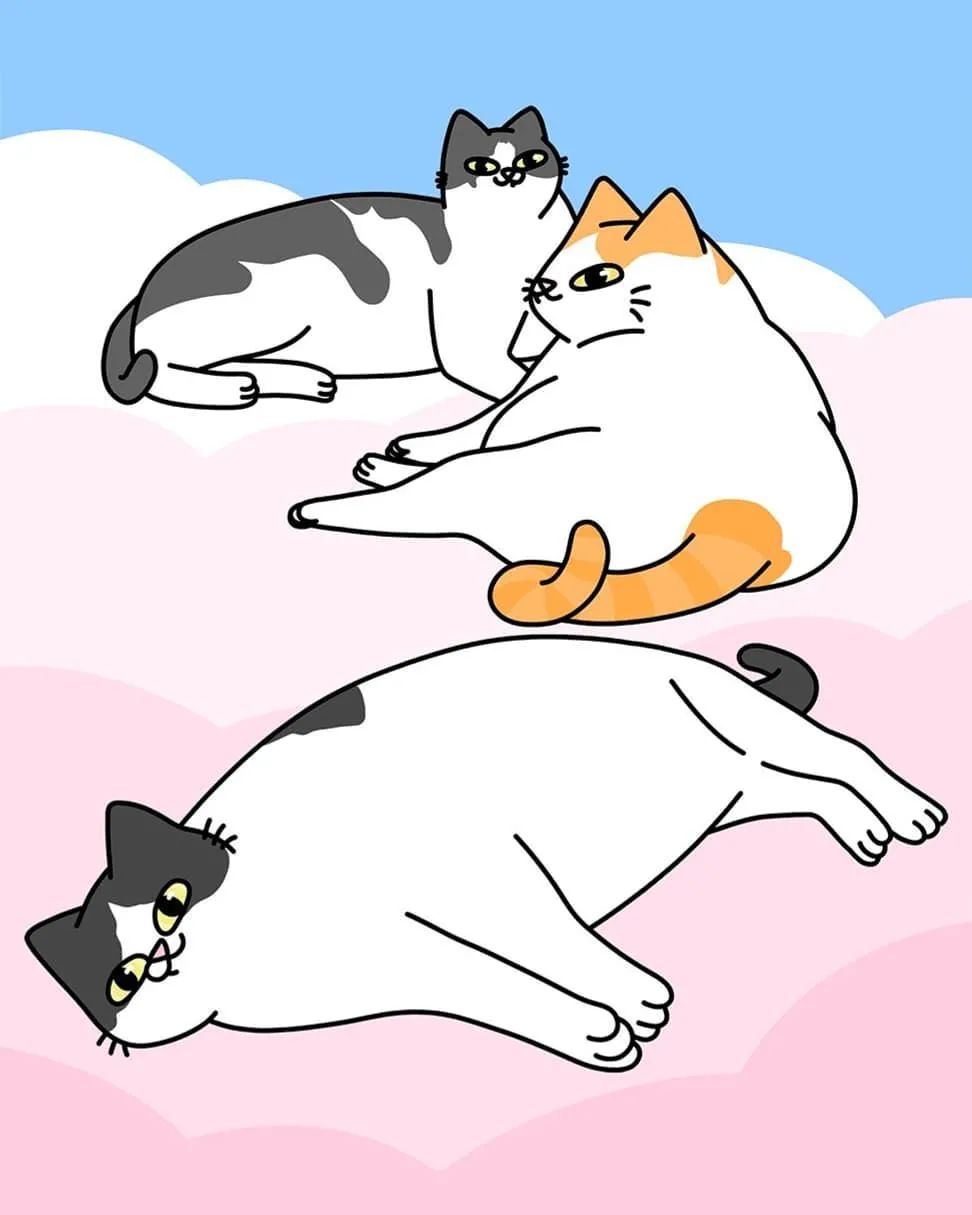 朋友圈配图又贱又萌的漫画猫猫