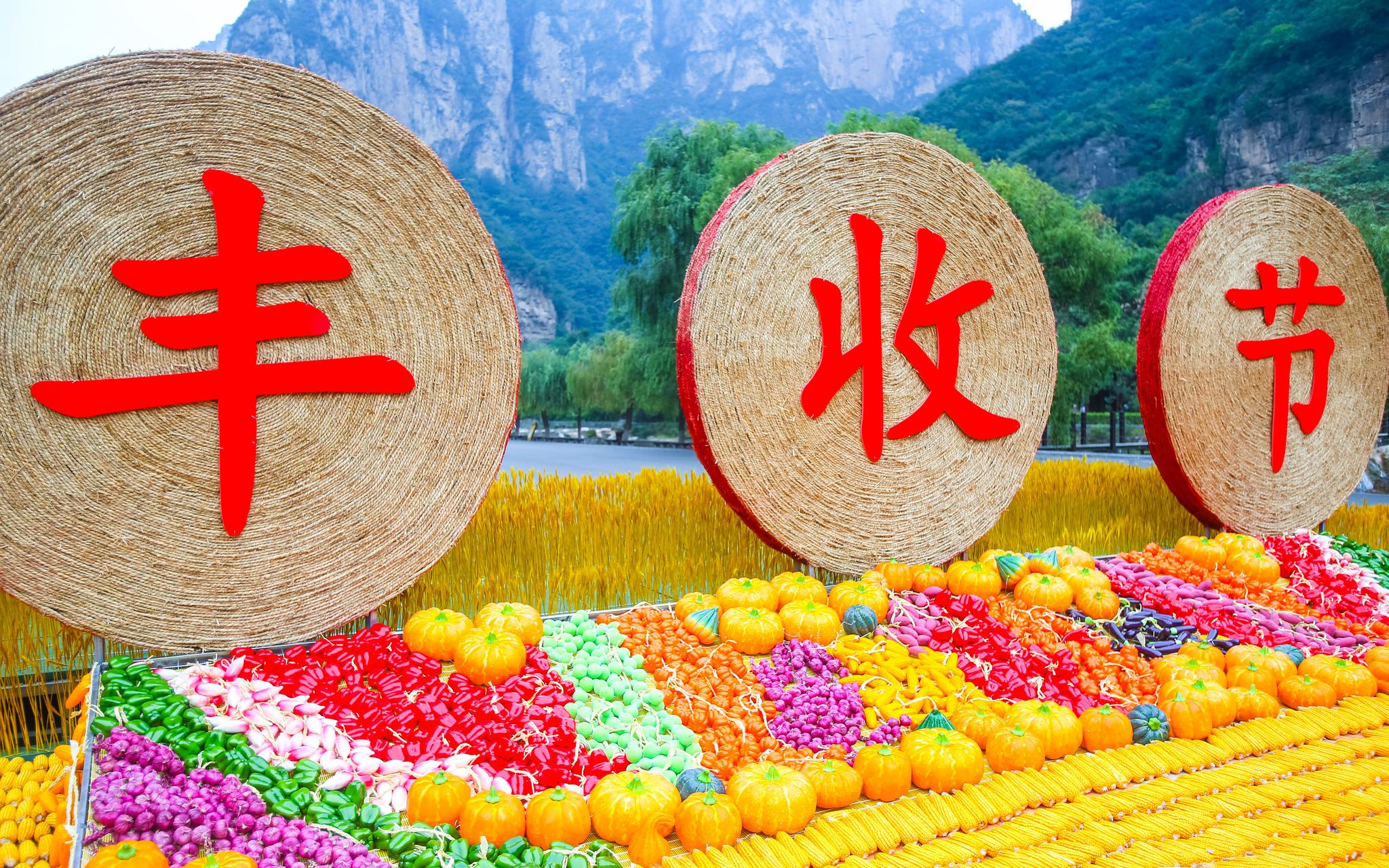 云台山景区举办的首届山货丰收节。受访者供图