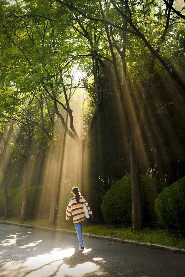 出光影这烟大的第一缕晨光吗你曾关注过每一缕晨光都刚刚好天色破晓