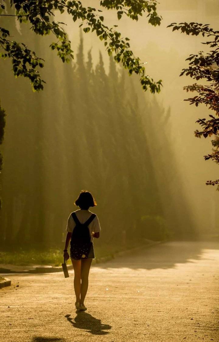 晨光|晨曦|背影_新浪新闻