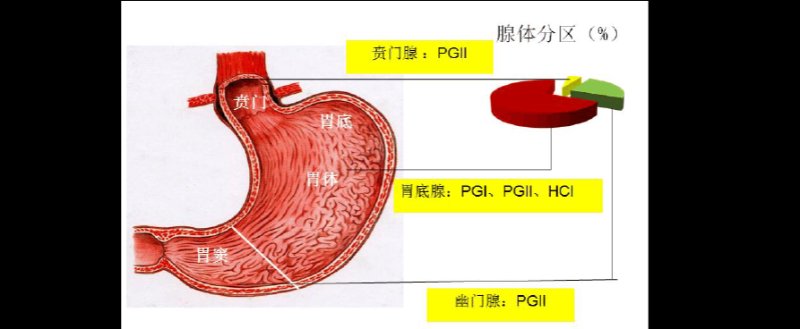 一滴血查胃病靠谱吗听听烟台医大胃肠医院专家怎么说