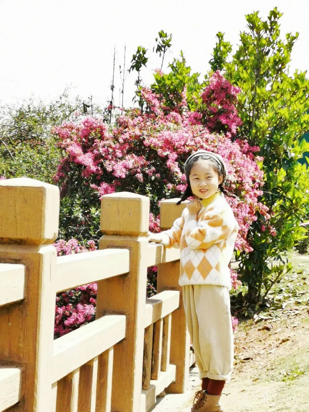 指导老师 刘莹石鼓路小学四(1)班 张希妍学游泳我爱我的家乡,南京河西