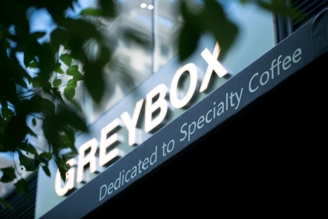 线上增长2000greybox灰盒子如何带动精品咖啡走出小众