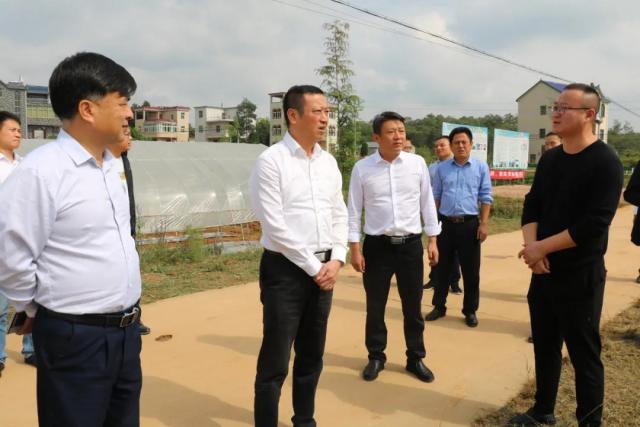 周金明深入鄱阳县饶埠镇,古县渡镇,游城乡,高家岭镇等地调研