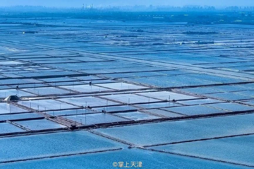 图片来自@掌上天津图片来自@掌上天津鸟瞰中国第二季塘沽盐场还出镜了