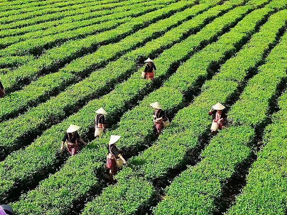 ɲ蹤ڲ¢ɴ衣ͼƬԴũѰɳҵɷ޹˾