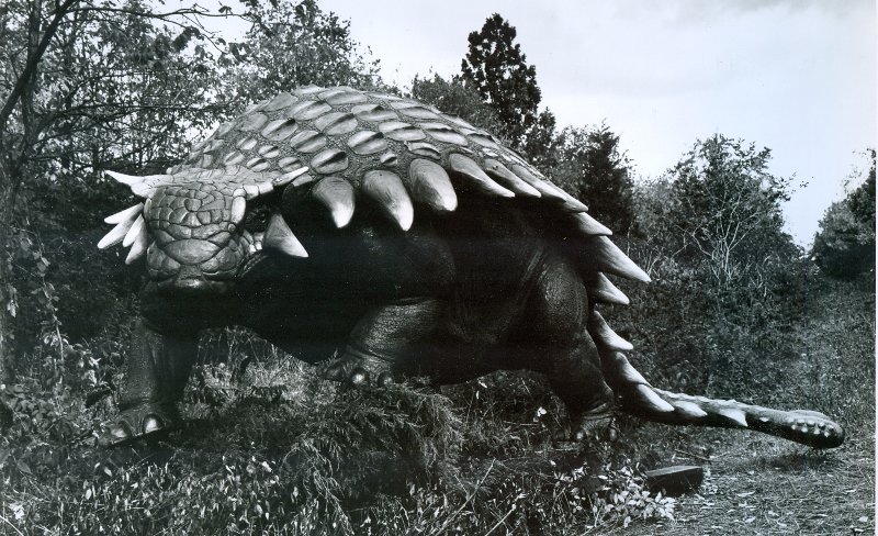 山东发现身上长满尖刺的新恐龙!