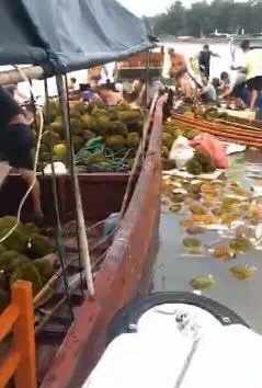 漂浮在海面上的榴莲遭到市民哄抢。 图片来源:自广西疾控公众号