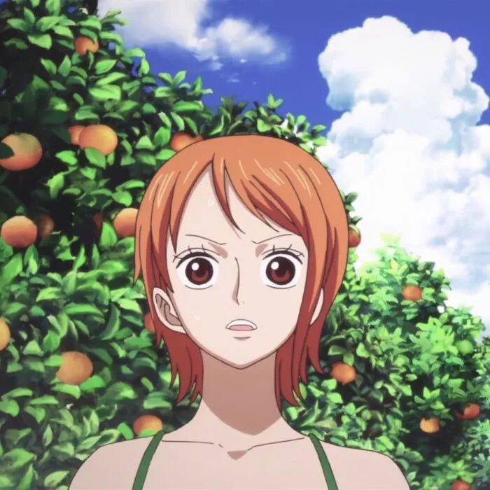 海贼王头像 | 你再不回去迪士尼就要没公主啦!