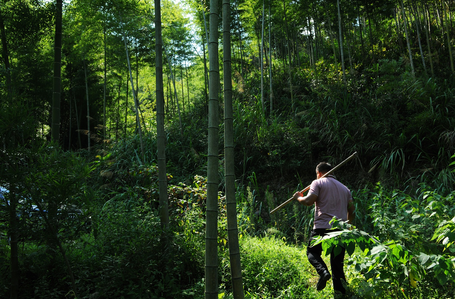 企鹅电竞网页版:帮助6000多户脱贫!重阳敖上村的"黄井"带来"黄金"