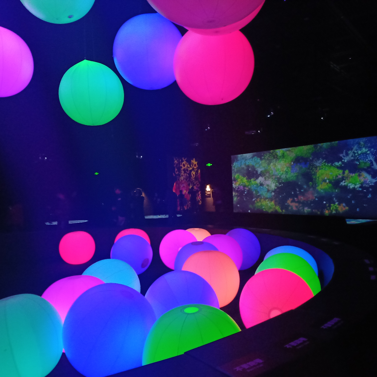 Teamlab 未来游乐园 到访廊坊 廊坊 游乐园 丝路 新浪新闻 Teamlab 未来游乐园 到访廊坊 廊坊 游乐园 丝路 新浪新闻