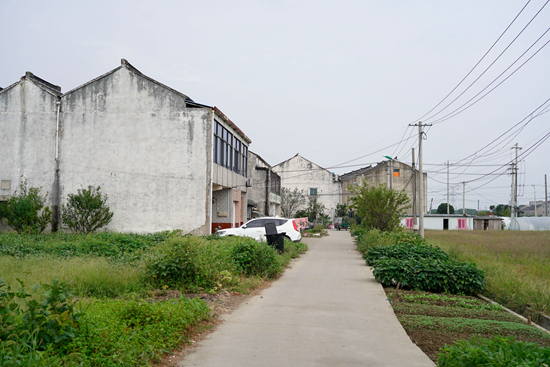     上家塘村。杨海/摄