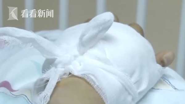 长春宠物物流