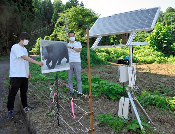 設計者在用熊的照片測試傳感器。 (圖片來源:日本《朝日新聞》網站)
