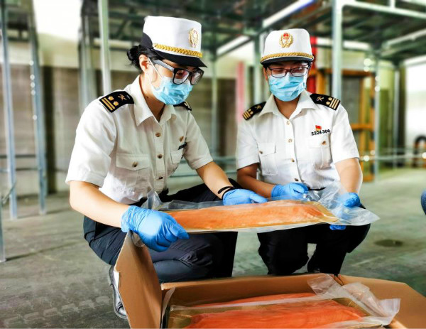 图说:崇明海关关员对出口三文鱼制品进行查验.上海海关供图(下同)