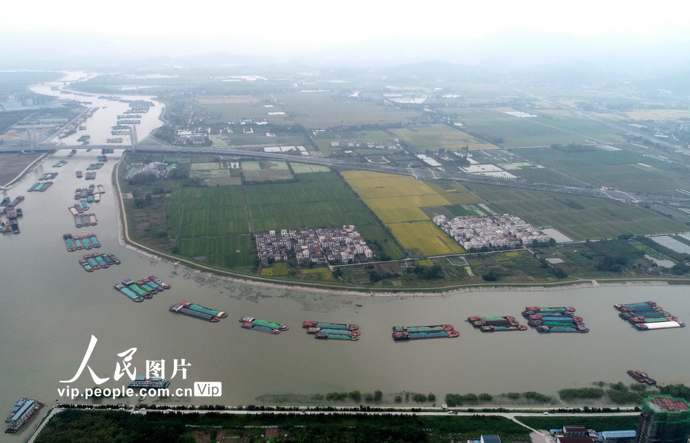 在安徽省巢湖市境内,满载货物的运输船队在合裕线航道裕溪河段有序