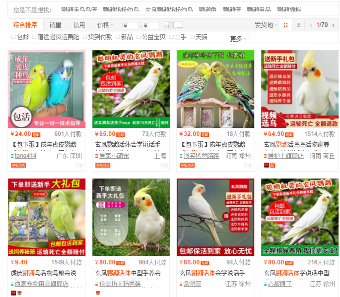 在电商平台上搜索“活体鹦鹉”，出现众多卖家。网页截图