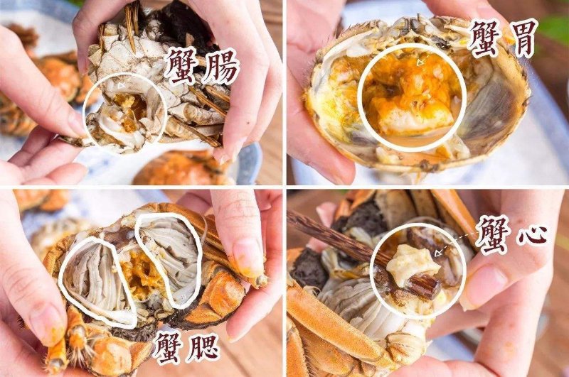 噓......你吃它們的聲音能小點嗎?|陽澄湖|桂圓|堅果_新浪新聞