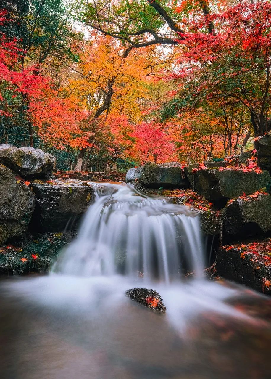 秋天的第一场旅行我想去这些地方看中国最美秋色