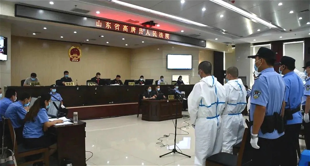 高唐县人民检察院依法提起公诉的董文涛等28人涉嫌组织,领导,参加黑