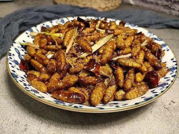 还是人们对末日食物的想象:由蟑螂肉制成的"营养蛋白块"